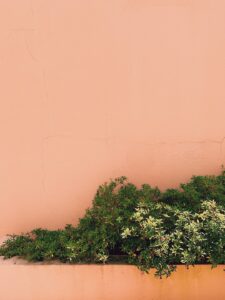 Photo by Kendra Little on Unsplash