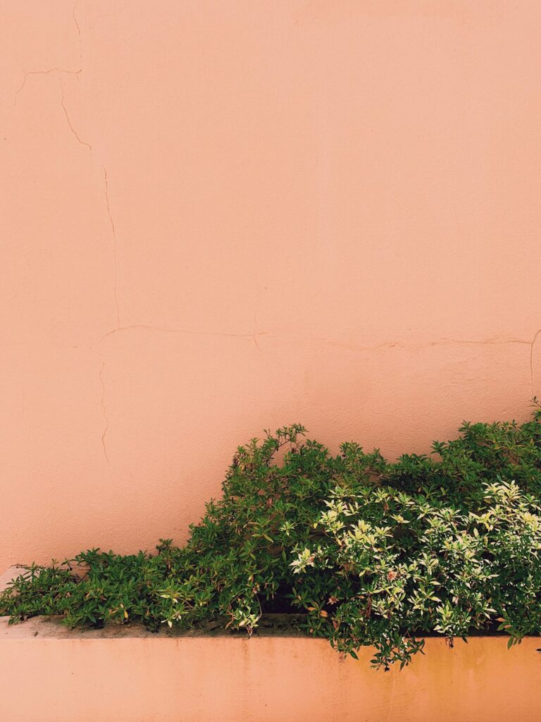 Photo by Kendra Little on Unsplash