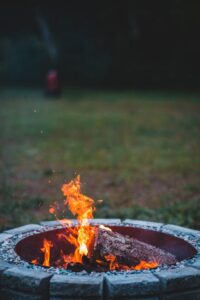 Photo by Erik Mclean on Pexels