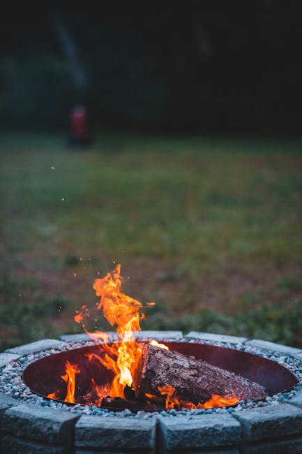 Photo by Erik Mclean on Pexels