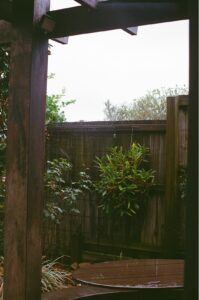 A backyard patio with comfortable seating, partial shade from a pergola, and green foliage surrounding the space.