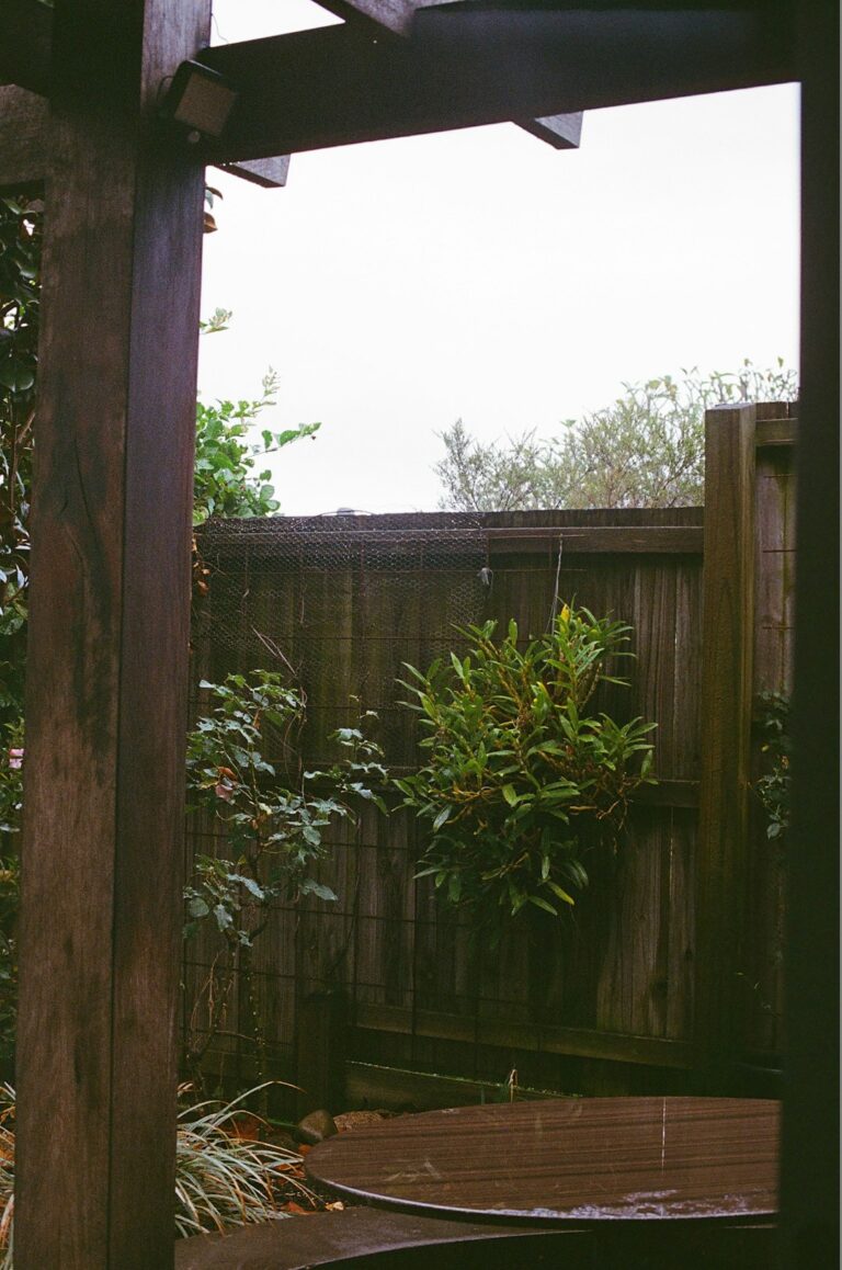 A backyard patio with comfortable seating, partial shade from a pergola, and green foliage surrounding the space.