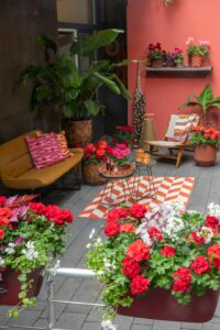A shaded patio with coordinated cushions, planters, green foliage, and warm neutral paving.