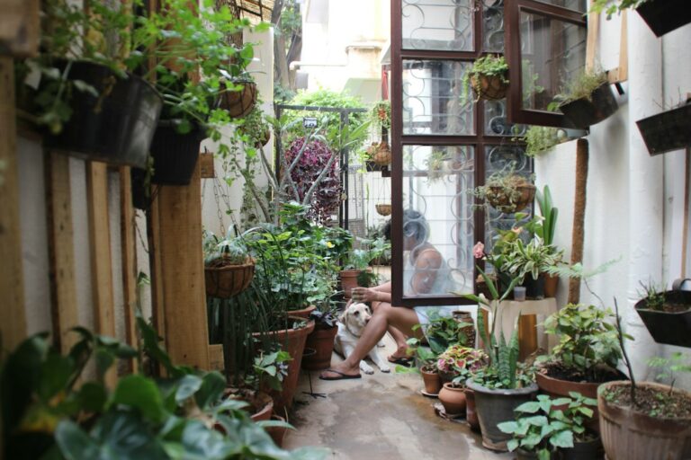 People relaxing on a shaded compact patio with container plants, outdoor seating, and a small dining table.